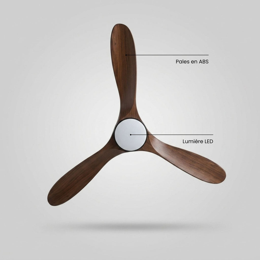 Terrain d’Or Aria — Ventilateur de plafond en bois, silencieux