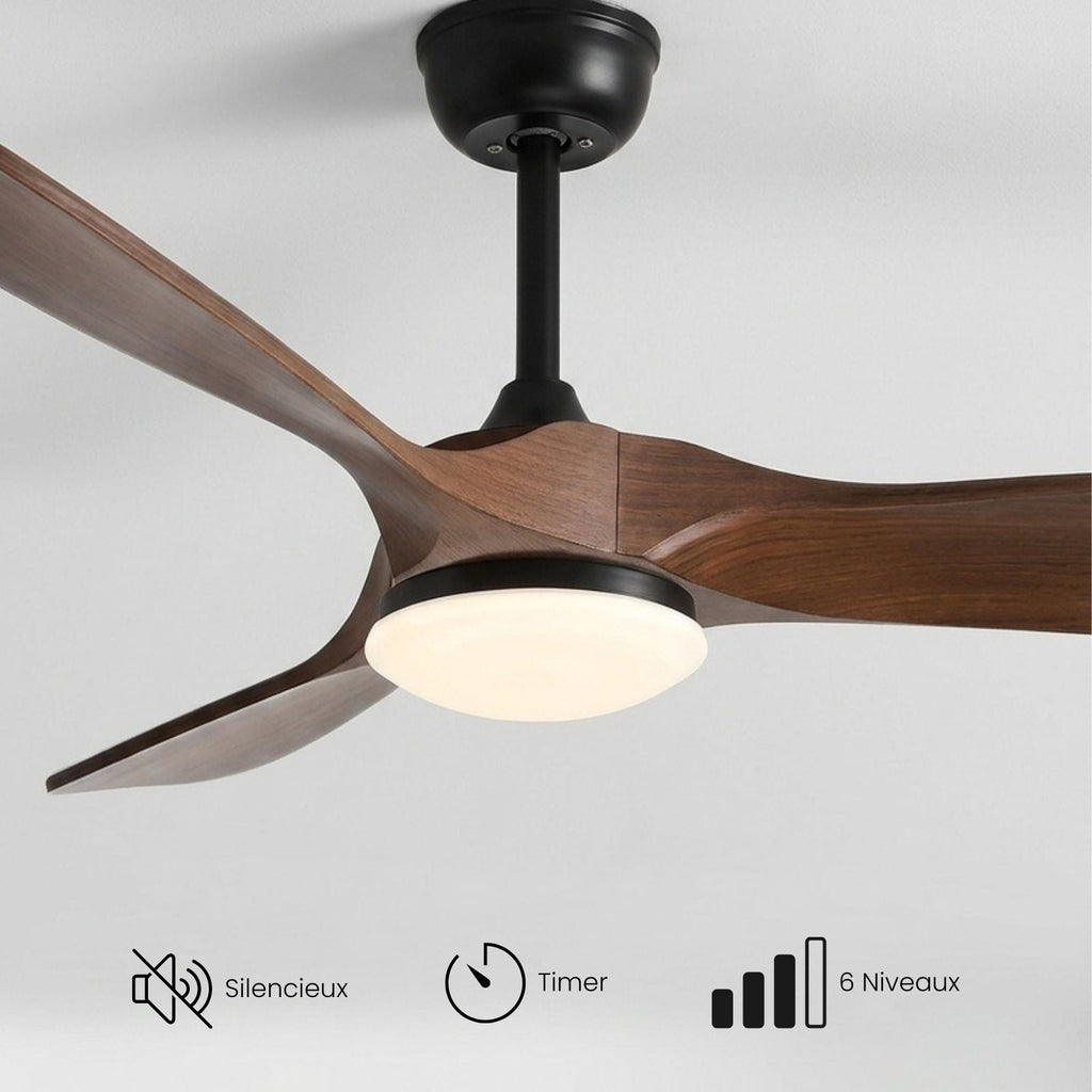 Terrain d’Or Aria — Ventilateur de plafond en bois, silencieux