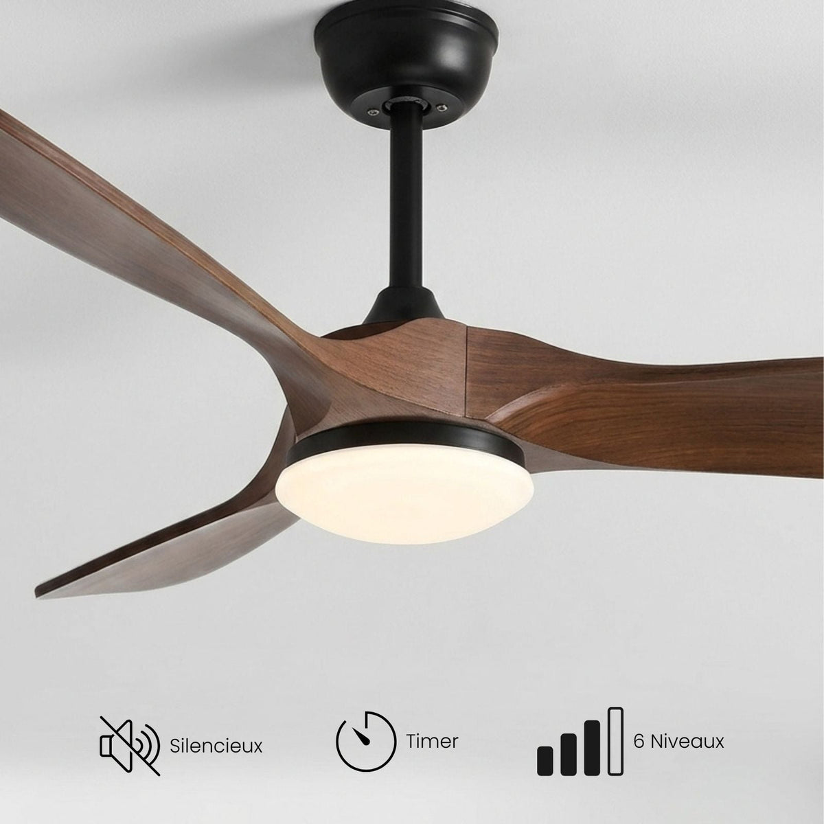Terrain d’Or Aria — Ventilateur de plafond en bois, silencieux
