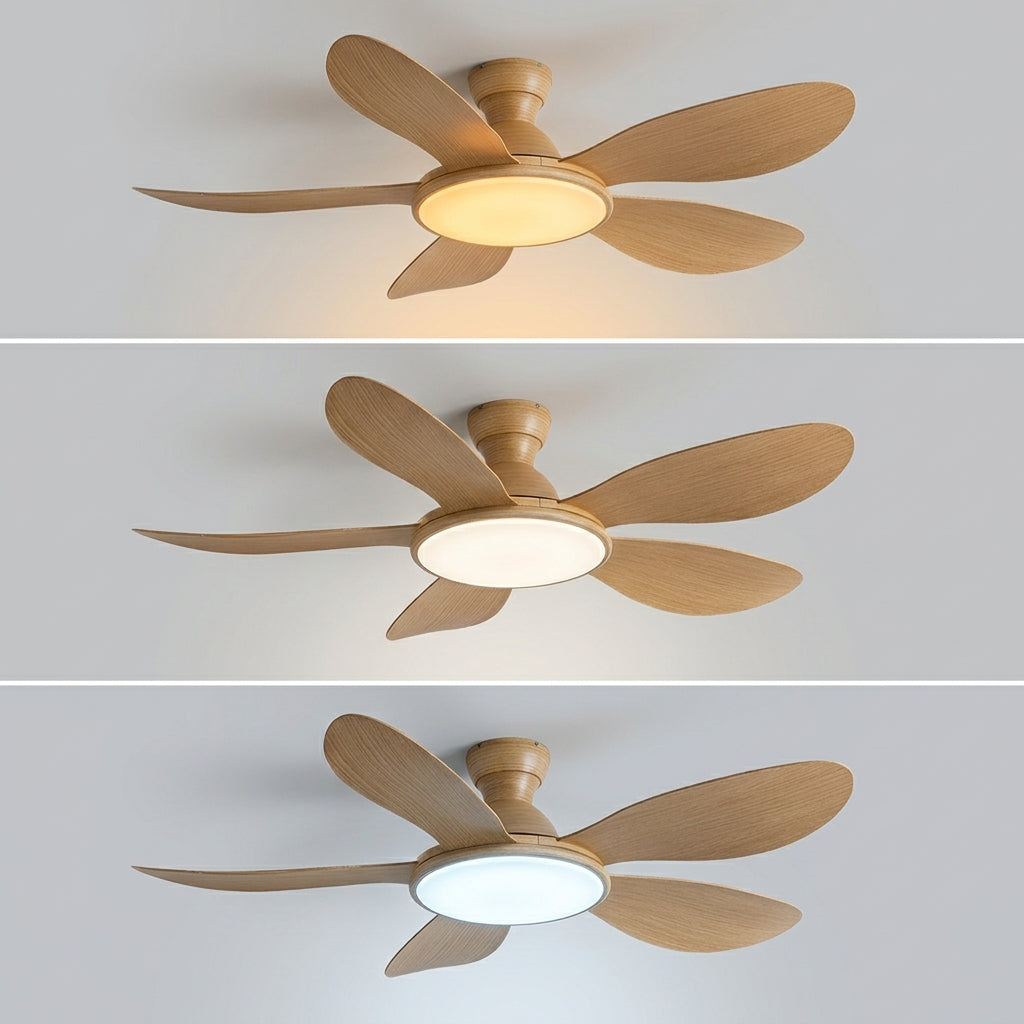 Terrain d’Or Cortina — Ventilateur de plafond en bois, silencieux
